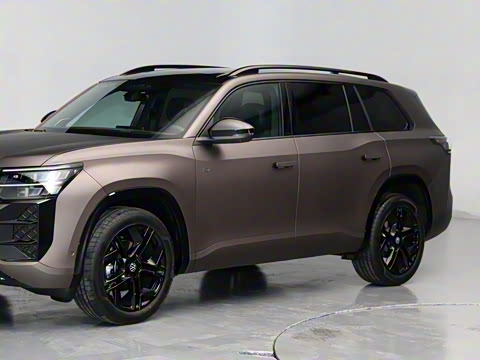 2025�� ;�� Pro 450TSI �����Ƿ��