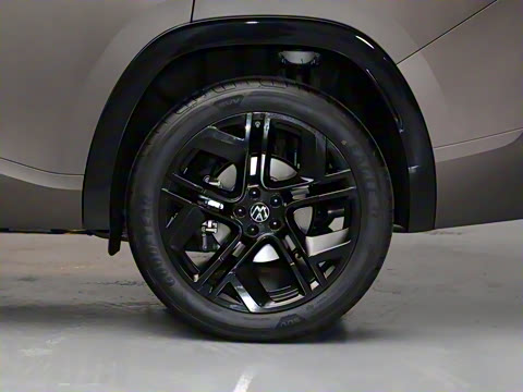 2025�� ;�� Pro 450TSI �����Ƿ��