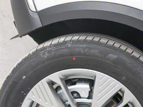 2025�� 445km ���ð�