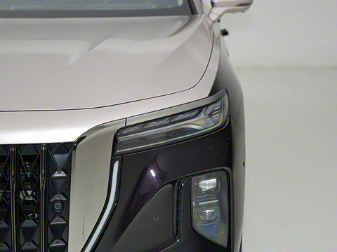 2024�� 3.0T �������� ˽�����а�