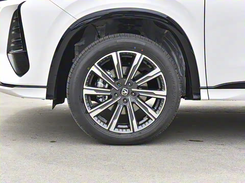 2024�� ������ �ھ��� 2.0T �Ǽݾ�����