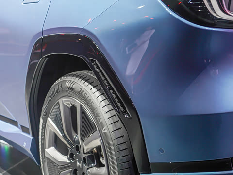 2025�� ����������Max