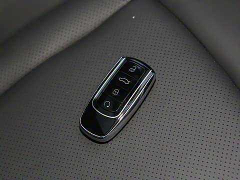 2025�� 290TGDI �Զ����а� 5��