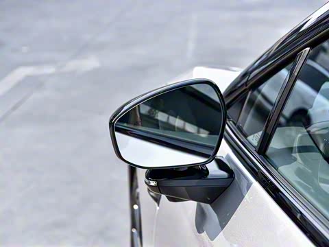 2025�� �������� Max �콢��