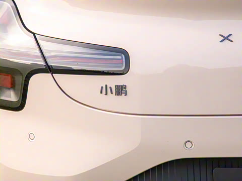 2025�� 502 ������ Max