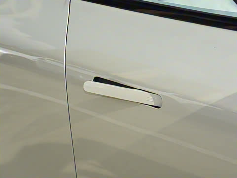 2025�� �������� Max �콢��