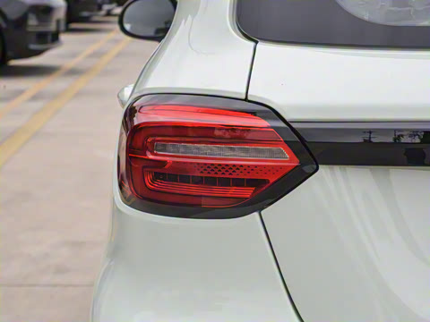 2025�� 310������