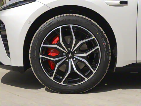 2025�� ���� 565����Max�캽��