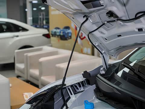 2024�� 450 ������