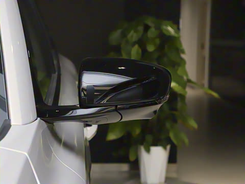 2025�� 425plus ������