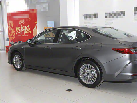 2025�� ˫�� 2.0HG ��԰�