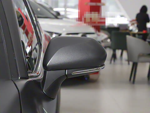 2025�� ˫�� 2.0HG ��԰�