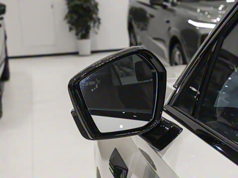 2025�� ���� Max