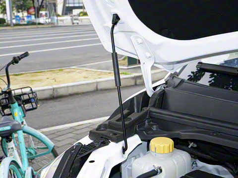 2025�� 2.0L �Զ���������� 9��