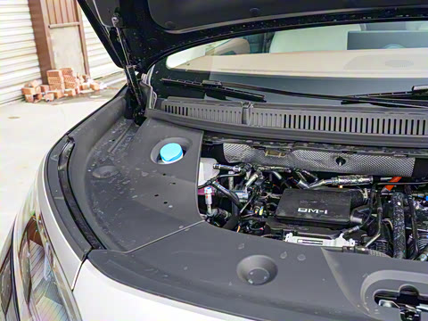 2025�� DM-i 1.5T 180km ��Խ��