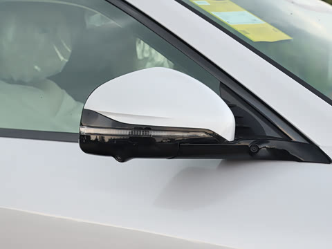 2025�� FREE+ ����Ǭ����