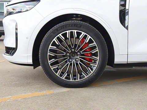 2025�� FREE+ ����Ǭ����