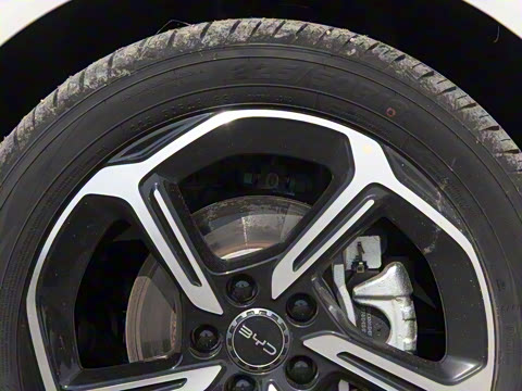 2025�� �Ǽݰ� 605���˰�