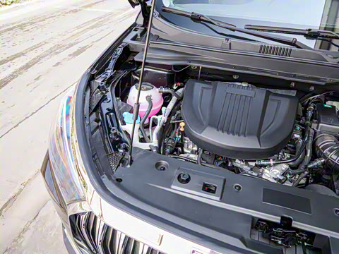 2025�� ��Խ�� 1.6TD DCT���� 7��