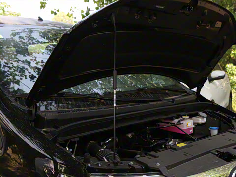 2025�� 1.5T �ֶ����ʰ� 7/8��