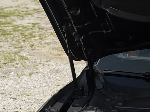 2025�� 260������������