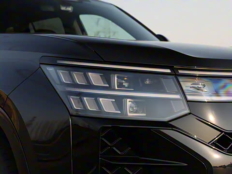 2025�� ;�� Pro 450TSI �����Ƿ��