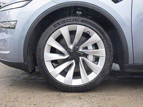 2025�� ����������