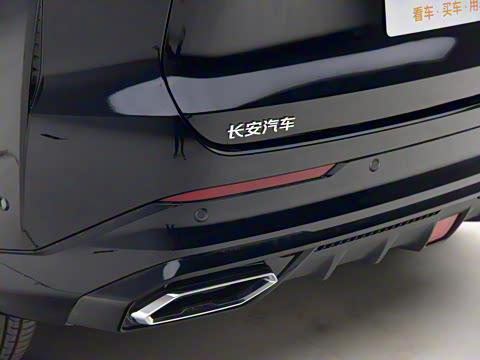 2025�� �ǻ������� 125km ������