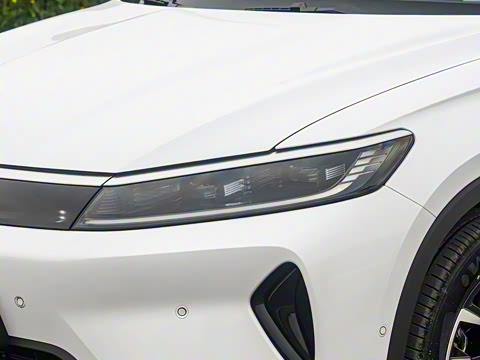 2025�� DM-i �Ǽݰ� 115KM������