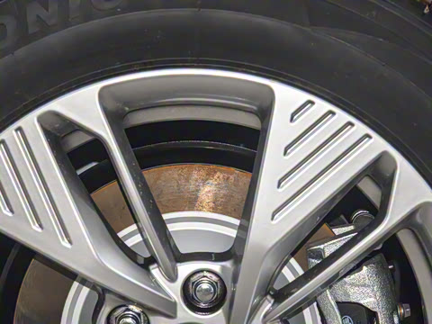 2025�� 565km ������