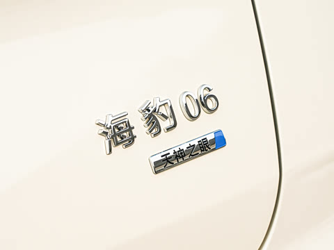 2025�� DM-i �Ǽݰ� 80KM������