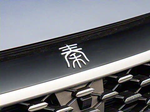 2025�� DM-i �Ǽݰ� 55KM������