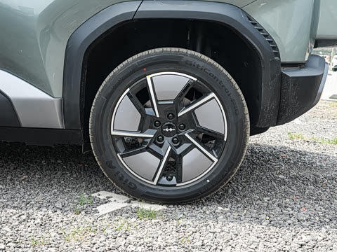 2025�� 501KM ����Max��