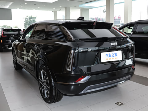 2024�� ������������