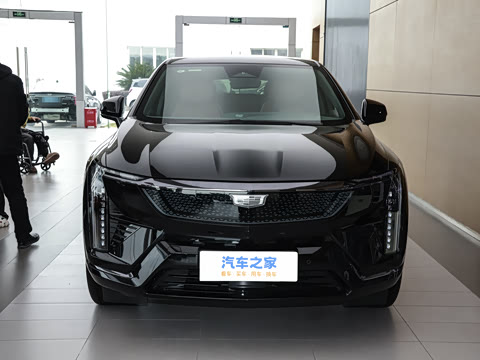 2024�� ������������