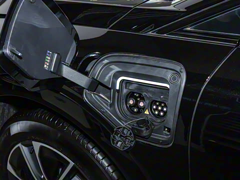 2024�� ������������