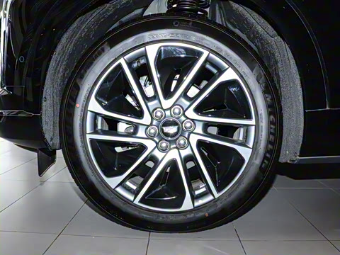 2024�� ������������