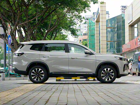 2025�� 290TGDI DCT�˷�� 