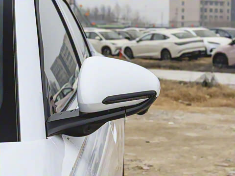 2025�� DM-i �Ǽݰ� 80KM������