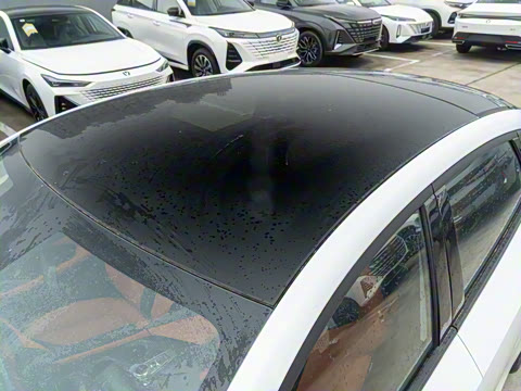 2025�� 1.5T 500Bar�����˶���