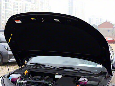 2025�� DM-i �Ǽݰ� 80KM������