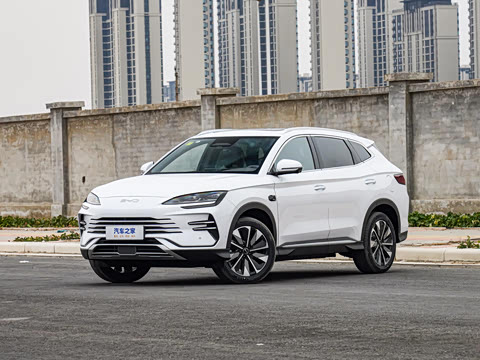 2025�� DM-i �Ǽݰ� 112KM ������