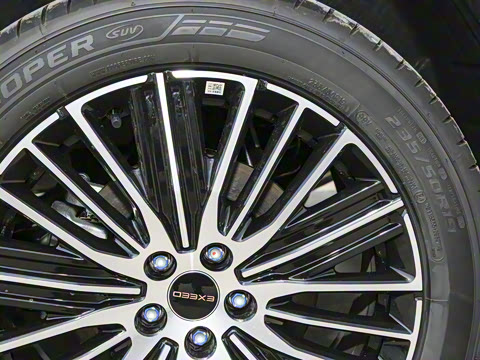 2025�� 300T ������ҹ��