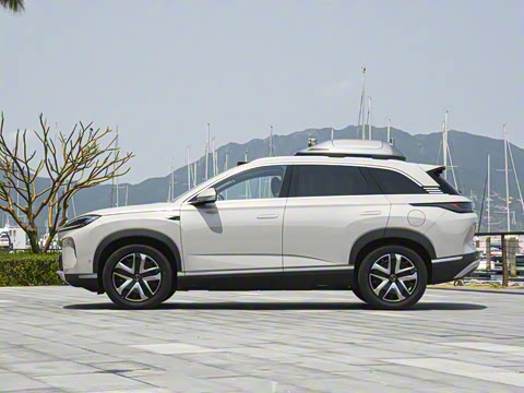 2025�� 135 �����ܼ����״��