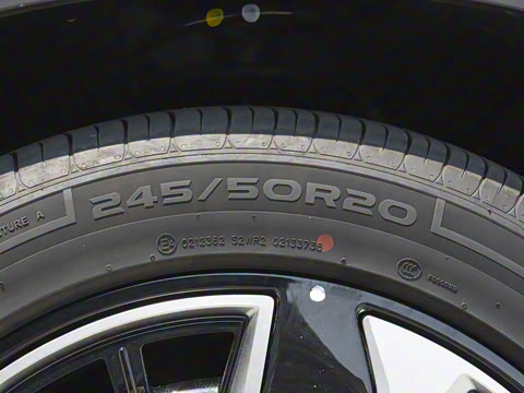 2025�� 135 �����ܼ����״��