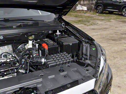 2025�� 1.5T �ֶ���Խ�� 5��