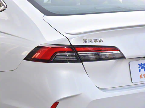 2025�� 260TURBO ��Ӣ��