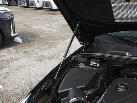 2024�� �Ŀ� 25T ������