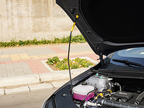 2025�� DM-i �Ǽݰ� 55KM��Խ��