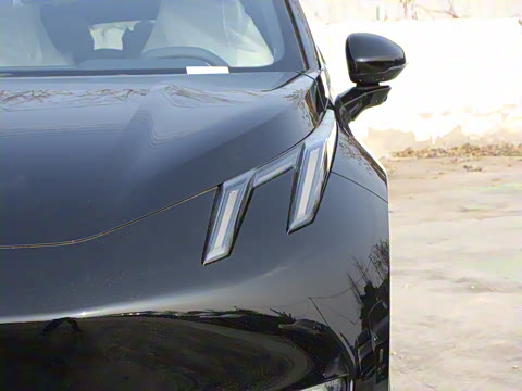 2025�� 530km ����Max